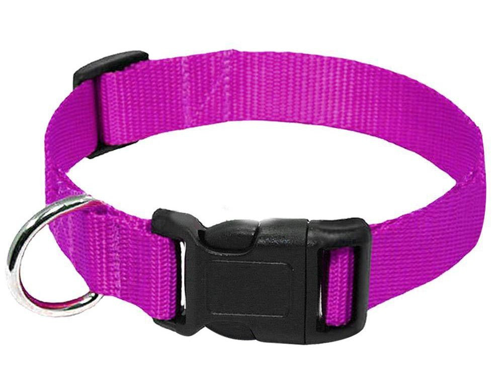 Safety Collar