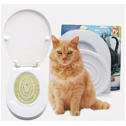 Cat Toilet