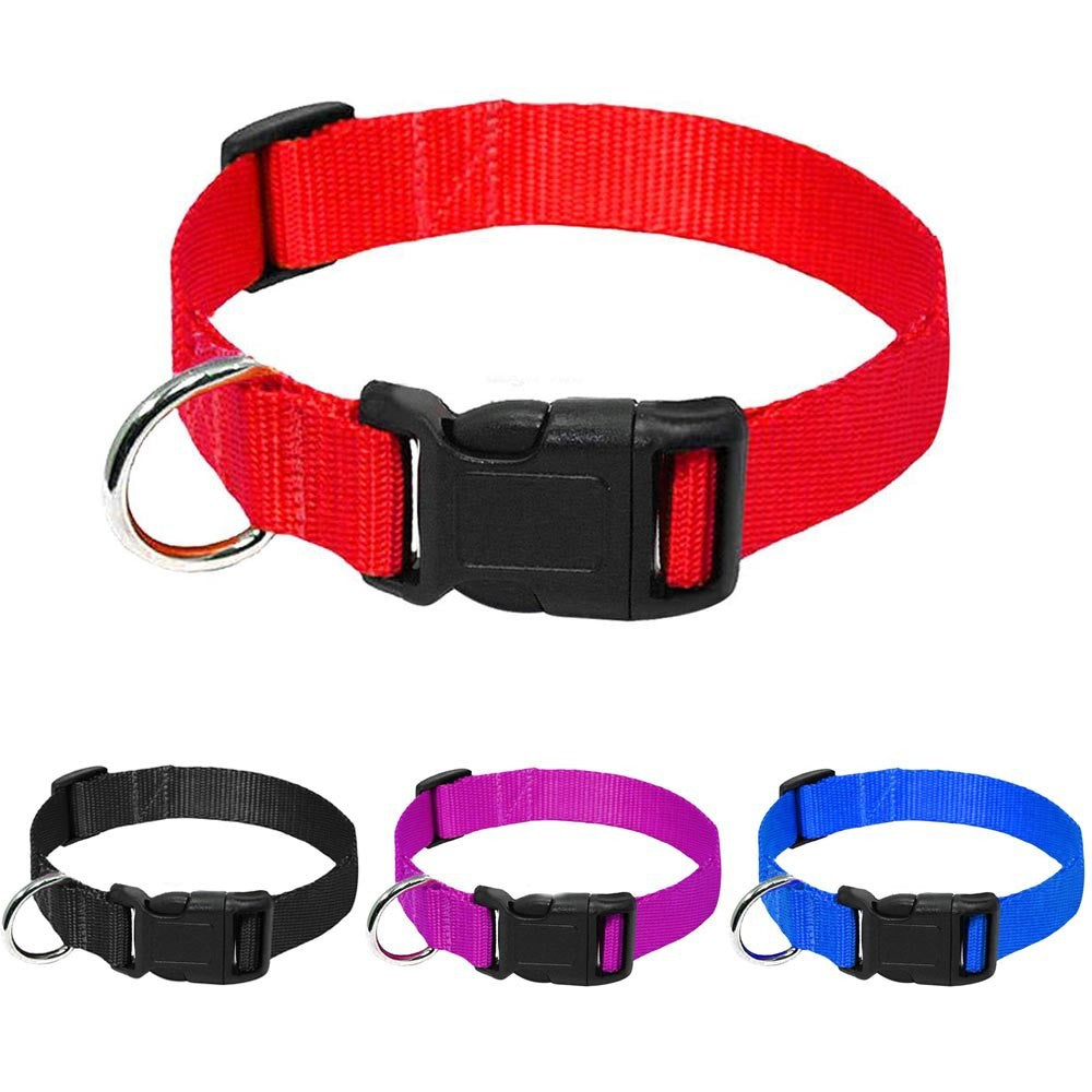 Dog Collar