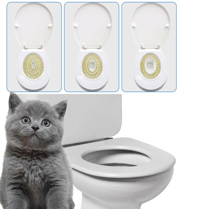 potty train cat