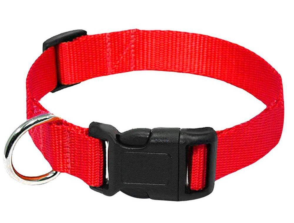 Durable pet Collar